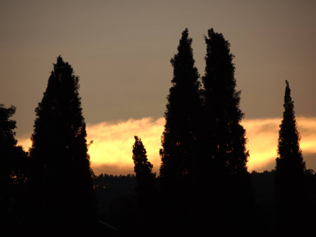 evening Silhouetteの写真素材