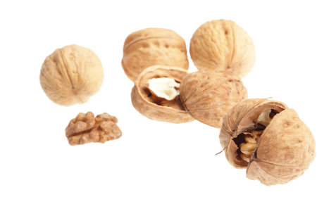 Macro of walnuts isolated on white background 