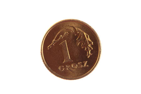 polish money - zloty isolated on white background の写真素材