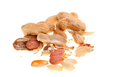 Peanut isolated on white background