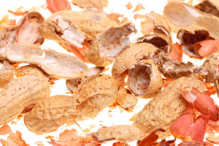 Peanut nature texture background on whiteの写真素材