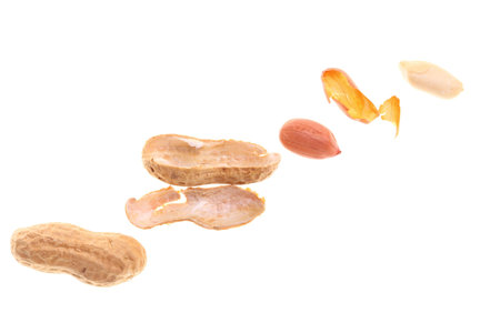 Peanut isolated on white background