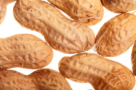 Peanut nature texture background on white
