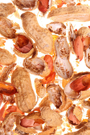 Peanut nature texture background on white