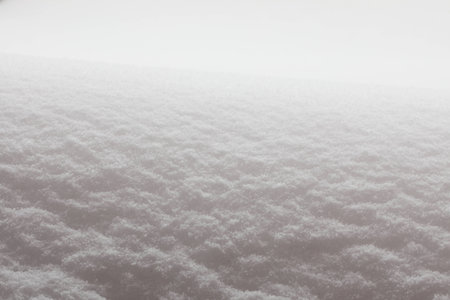 texture of the snow on a sunny day in backlit