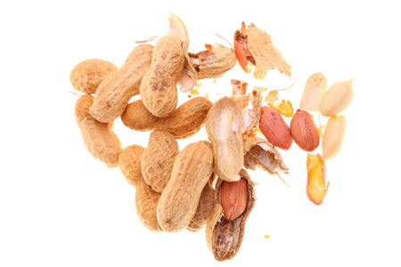 Peanut fresh, fruit isolated on white background