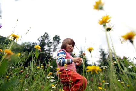 Little girl collecting flowersの写真素材