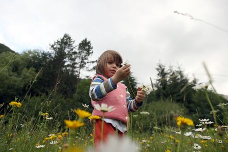Little girl collecting flowersの写真素材