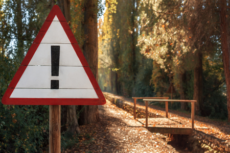 attencion! in tha park with autumn leaves and bridgesの写真素材