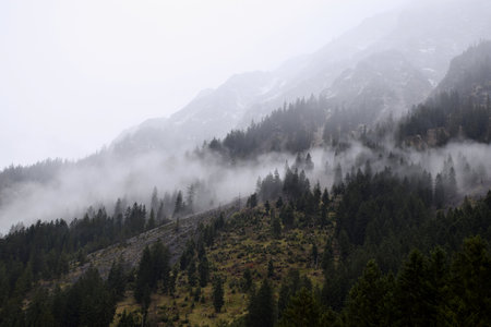 Morning in the mountainsの写真素材