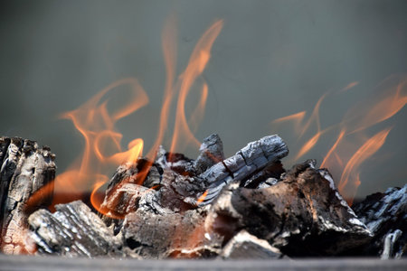 Wood burning with orange flames, gray smoke