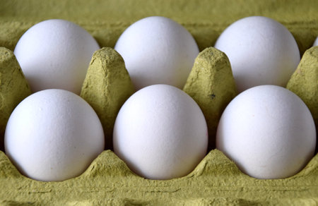 white eggs in a nest