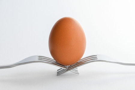 A hen egg on a white background and empty space for textの写真素材
