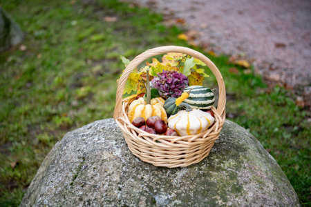 Wicker basket with pumpkins, chestnuts and autumn leaves on a stoneの写真素材