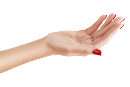 Beautiful female hand palm up on white background.の写真素材
