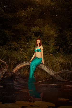 Mermaid girl sitting on a tree in the swamp.の写真素材