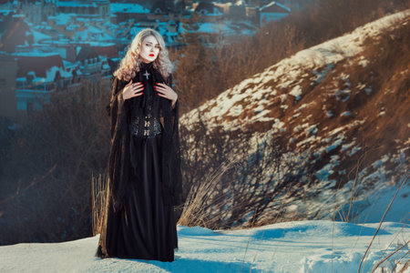 Victorian style, old-fashioned girl in a long dress and corset stands towering over the city.の写真素材