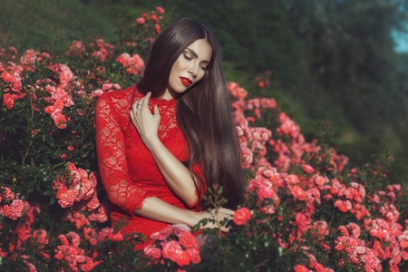 Woman with long hair sitting in the bushes of roses.の写真素材