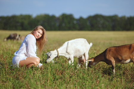 Woman feeds goats in the field, a summer bright day.の写真素材