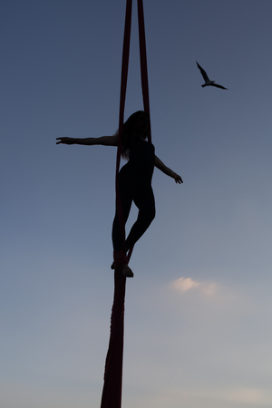 Woman acrobat on a hammock high in the sky.の写真素材