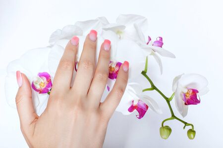 Beautiful woman hand with beautiful manicure on magnolia flowers close up.の写真素材