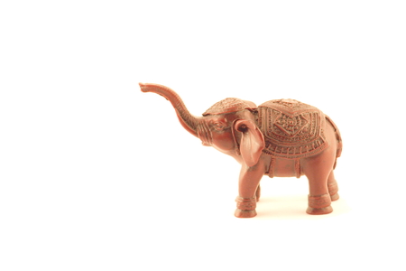 small elephant on a white backgroundの写真素材