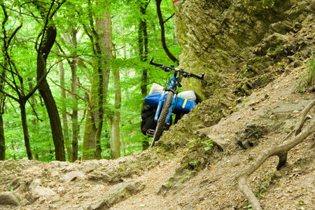 bike trip in the forestの写真素材