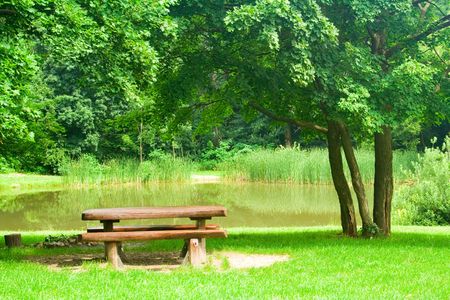 bench on the bank of a small lakeの写真素材