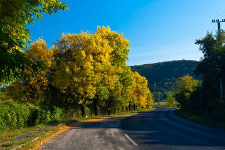 road in autumn with a hill in backgroundの写真素材