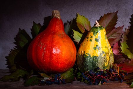 beautiful halloween background and pumkinの写真素材