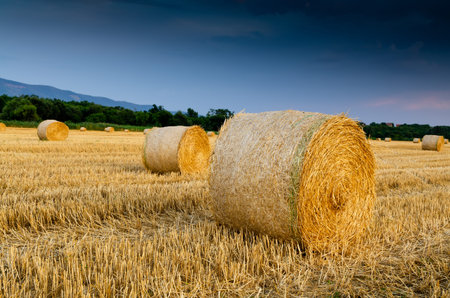 hay bales background