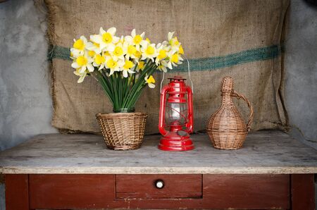 narcissus flowerの写真素材