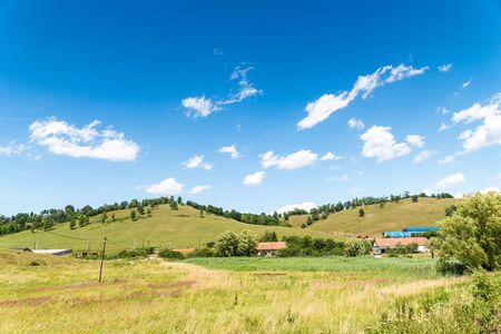 green fieldの写真素材