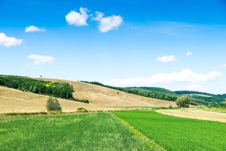 green fieldの写真素材