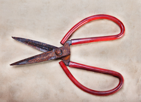 rusty scissor on old paperの写真素材
