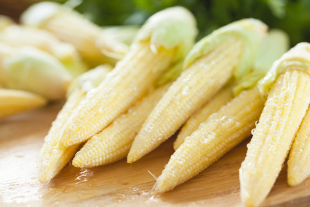 baby corn with dew drop prepare for cookingの写真素材