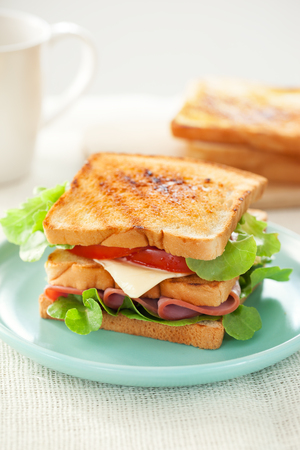 ham sandwich in plate for mealの写真素材