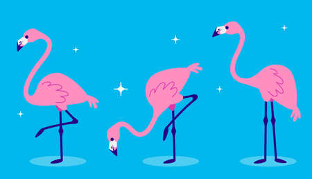 Vector set of illustration of beautiful pink flamingo in different pose with shadow on night blue background with star. Flat style design of flamingo for web, site, banner, card, sticker, printのイラスト素材