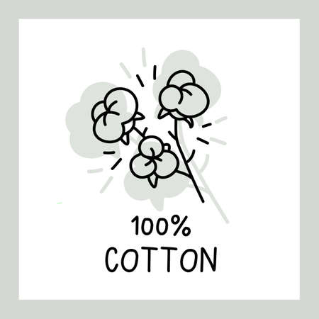 Vector line flower cotton with text and frame on white backgroundのイラスト素材