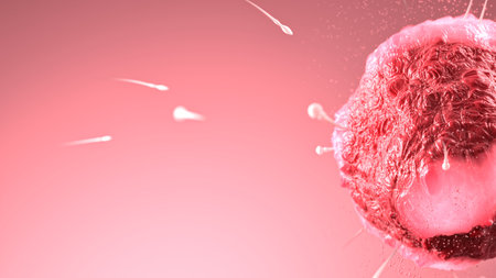 3D medical illustration of sperm swimming toward human egg cell on soft pink backgroundの写真素材