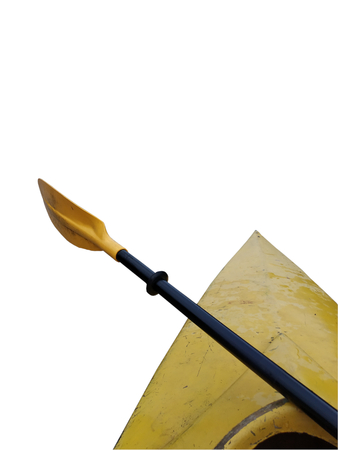 kayak paddle isolated on whiteの写真素材