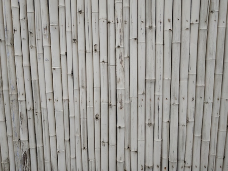 white bamboo wallの写真素材