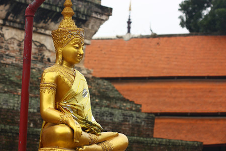 thailand gold buddha statue
