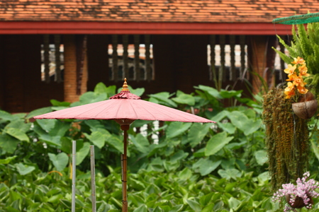Red umbrella and green backgroundの写真素材