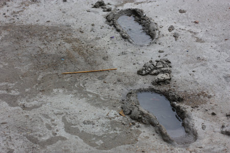 print of foot in wet cement and rain water