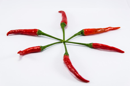 six red chilli on white background,thailandの写真素材