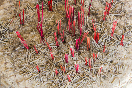 burnning incense and cinders in potの写真素材