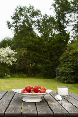 Strawberrysの写真素材