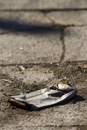 old, Dirty, Rusty Aerosol Canの写真素材