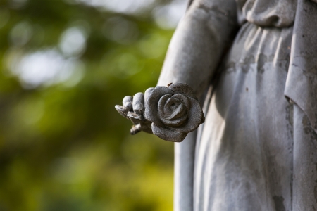 statue hand holding a roseの写真素材